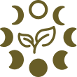 Image ALT text 3