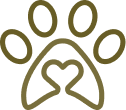 Image ALT text 5