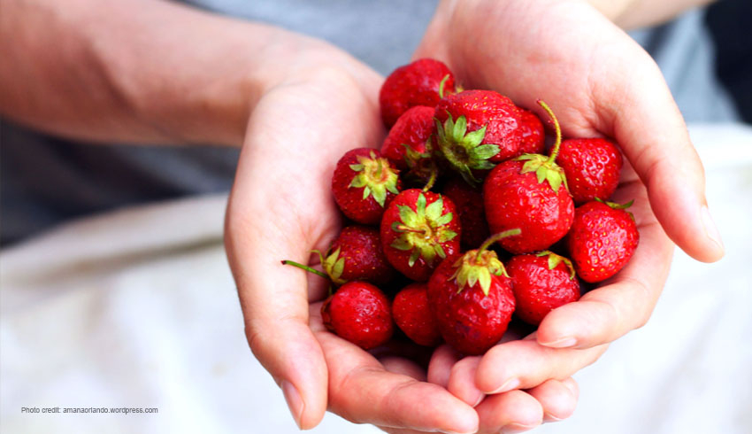 strawberries