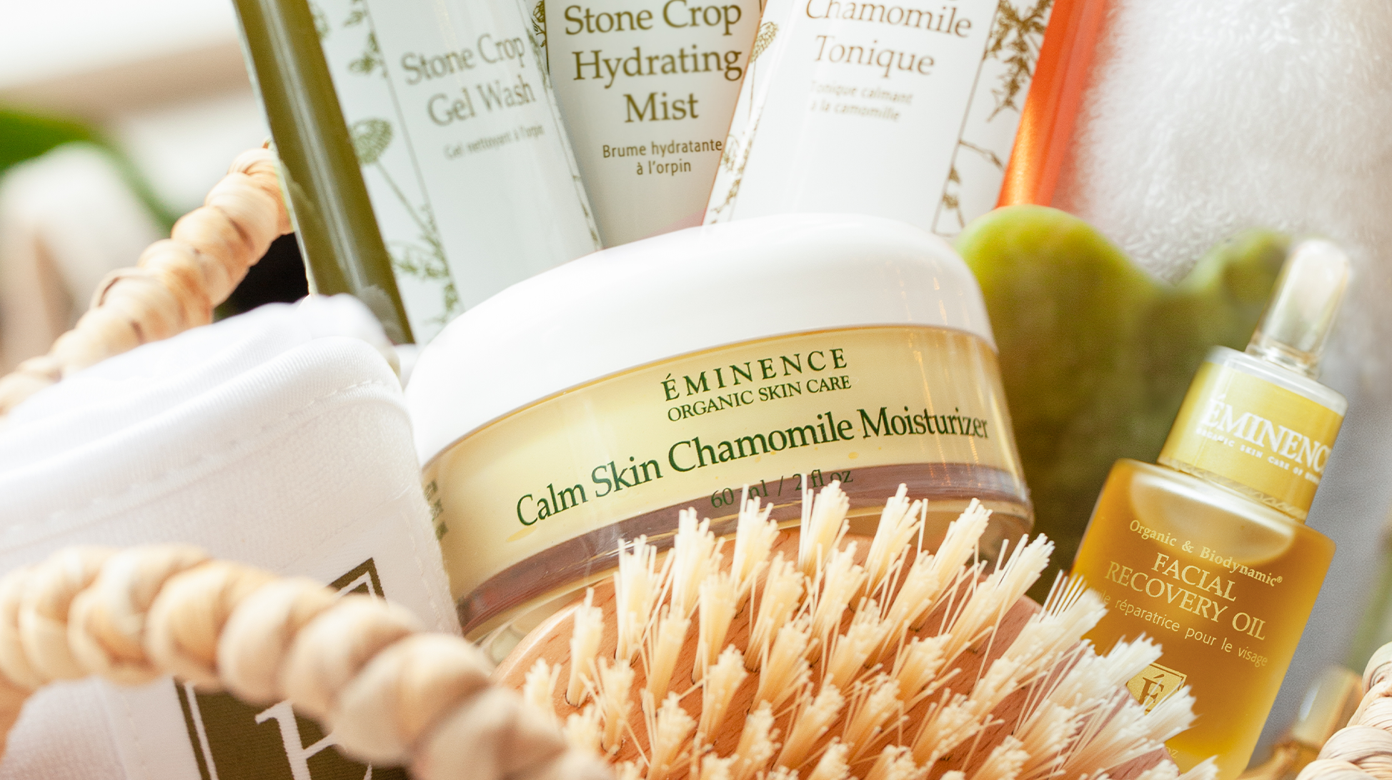 Our Products & Ingredients