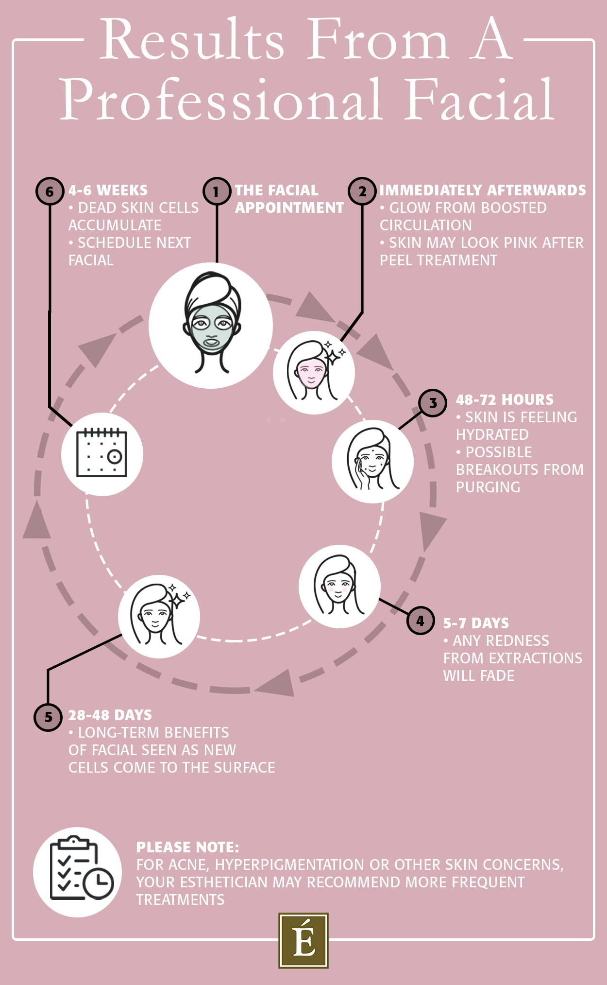 Infographic on the results from a professional facial