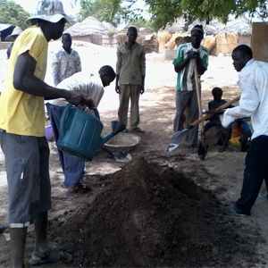 Men from a small community in Senegal, Africa gather to plant trees as part of Eminence Organics' partnership with Trees for the Future.