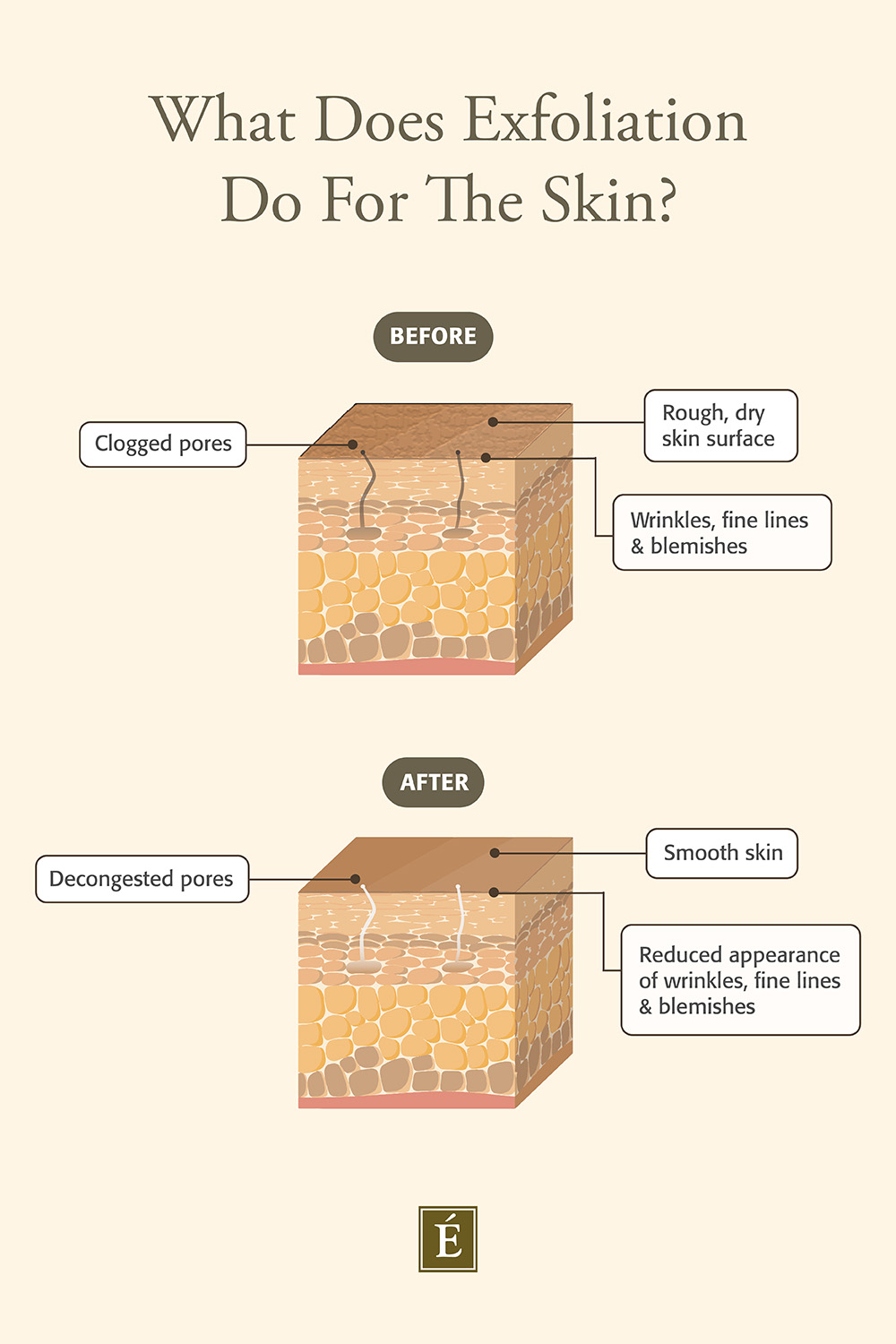 What Does Exfoliating Do For Your Skin infographic