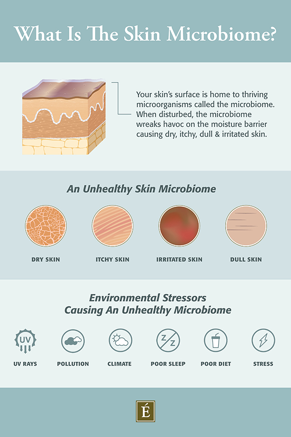 What is the skin microbiome? infographic