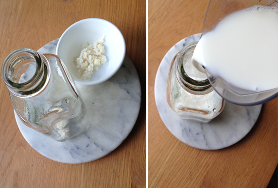 Ingredients for making kefir, including live kefir grains and organic milk