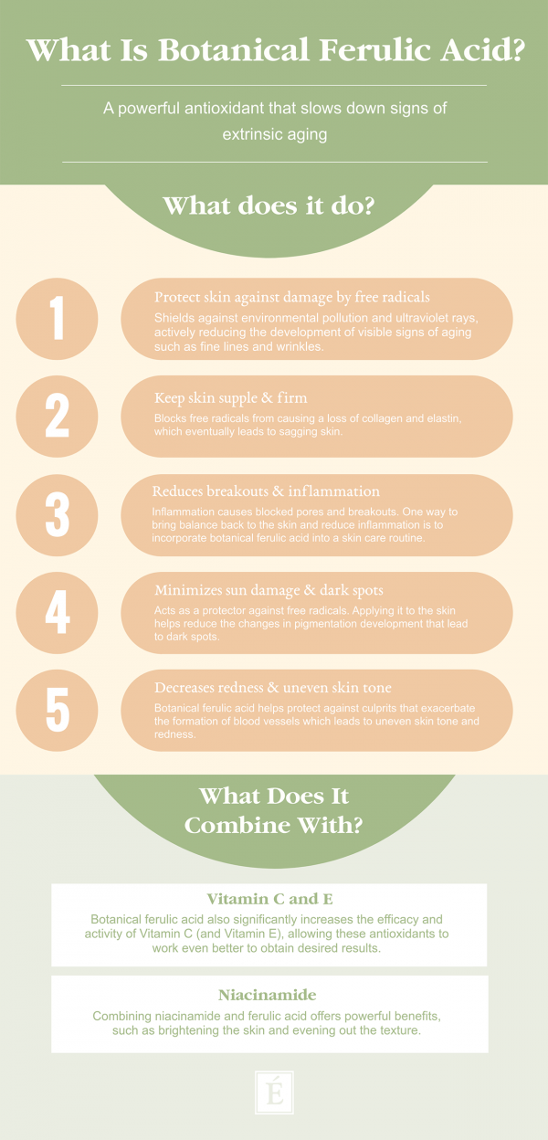 What Is Botanical Ferulic Acid Infographic