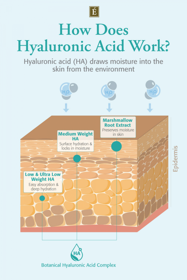 How Does Hyaluronic Acid Work? infographic