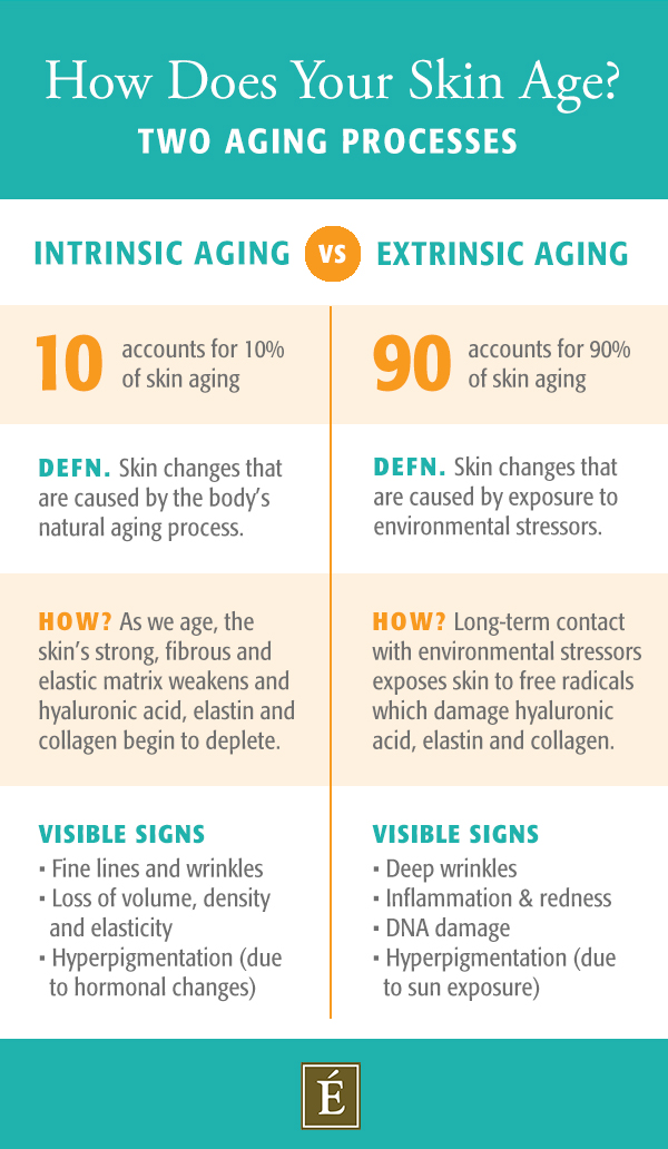 intrinsic vs extrinsic aging