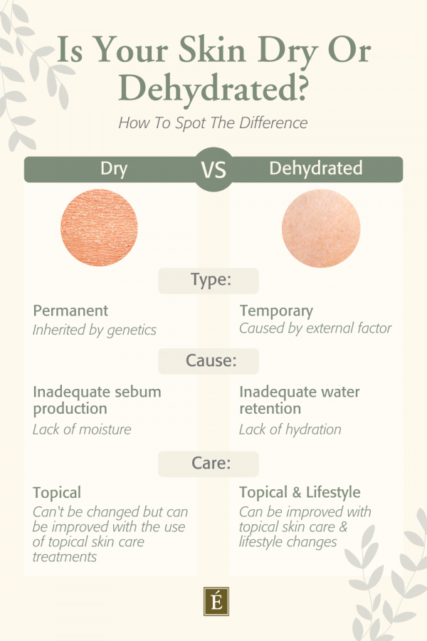 Is Your Skin Dry Or Dehydrated How To Spot Difference infographic