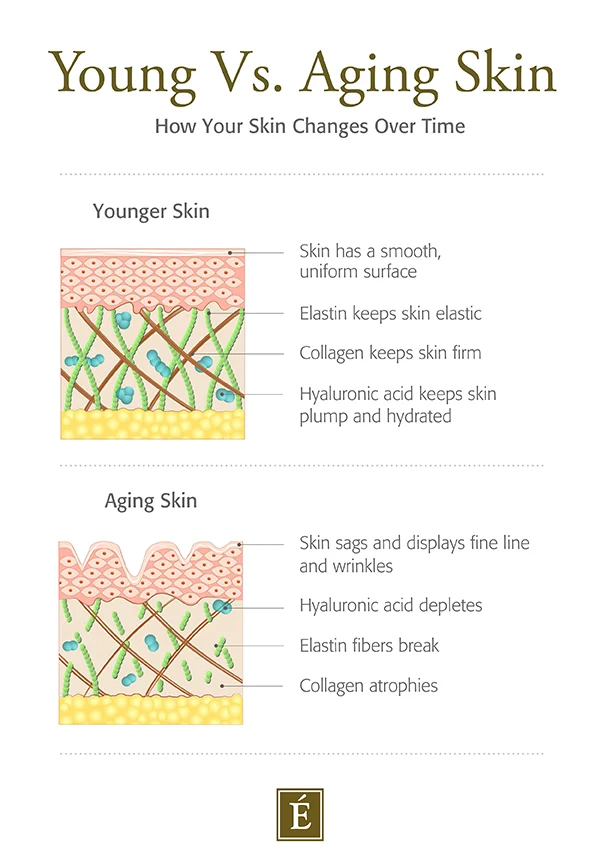 young vs aging skin