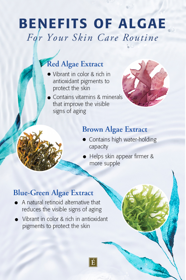 Benefits of Algae