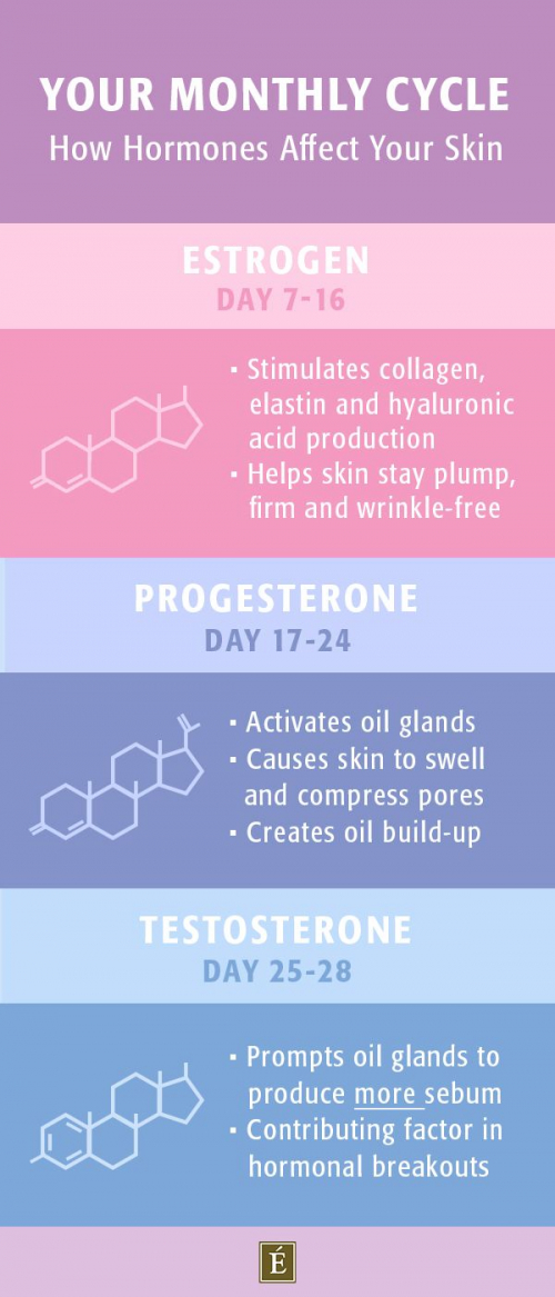 "how hormones affect your skin diagra