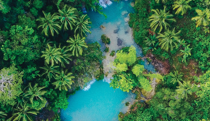 Eminence Organics Is The First Skin Care Brand To Plant 10 Million Trees