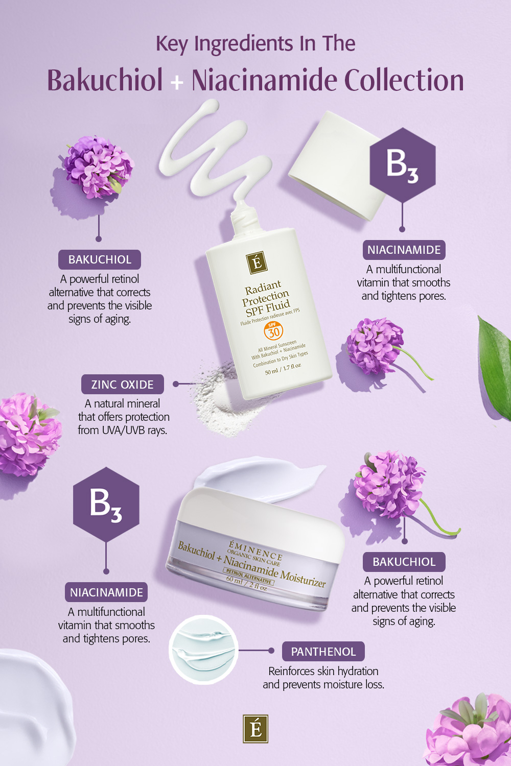 Key Ingredients In The Bakuchiol + Niacinamide Collection Infographic