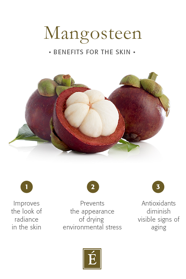 "Mangosteen benefits for your skin infographic