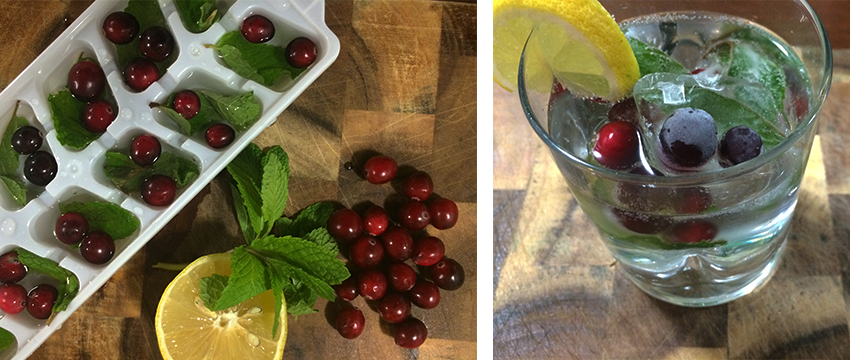 Cranberry mint ice cubes pictured in an ice tray and inside a drink garnished with a lemon slice