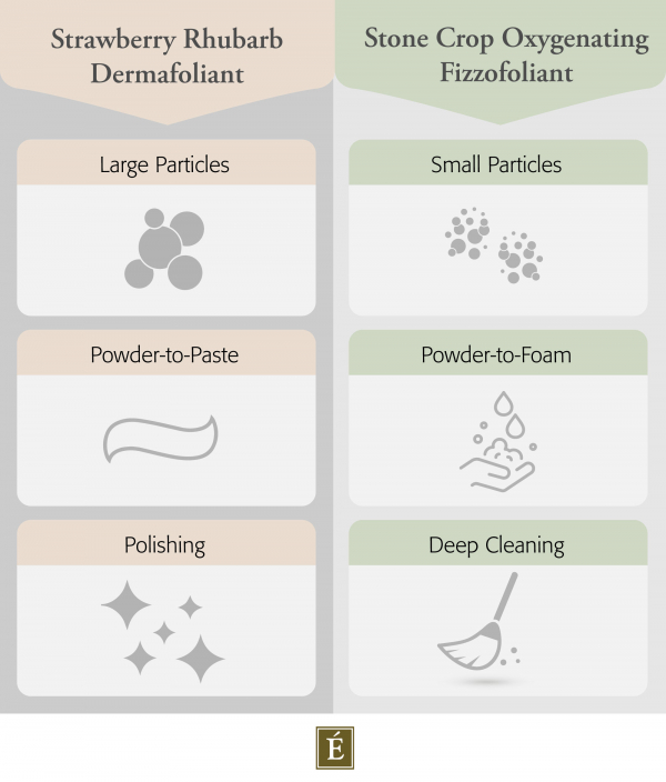 Strawberry Rhubarb Dermafoliant and Stone Crop Oxygenating Fizzofoliant Infographic