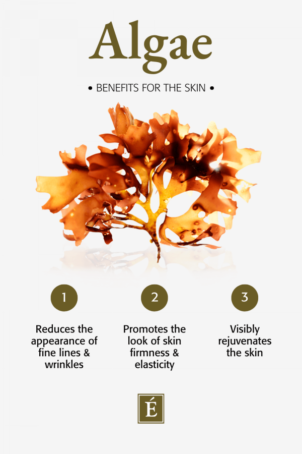 Benefits for the skin