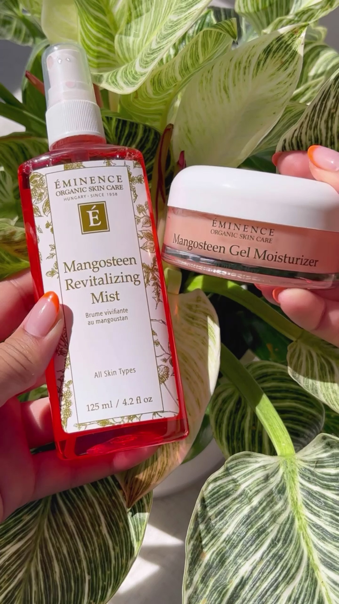 Mangosteen Gel Moisturizer image named null