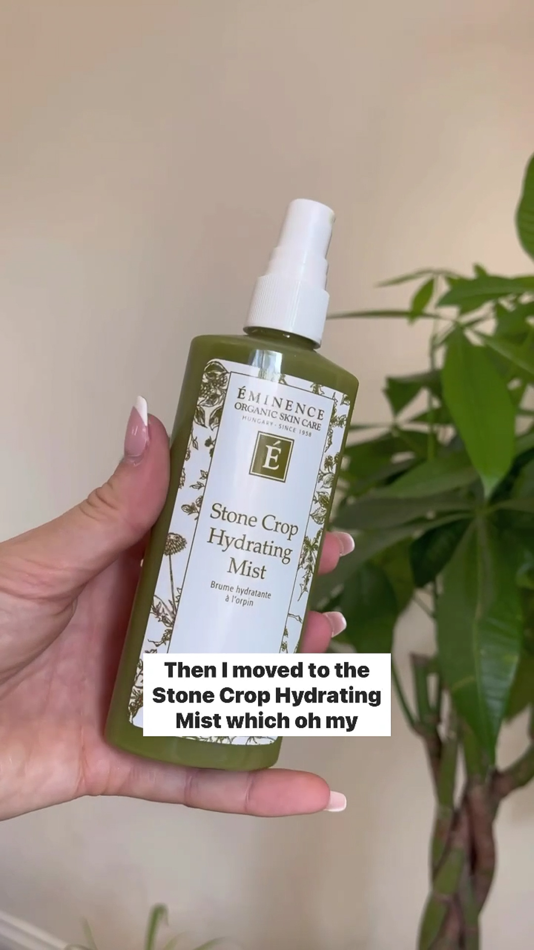 Stone Crop Hydrating Mist image named null